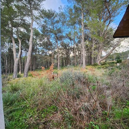 A L'Oree Des Pins - Gite Et Spa De 30 M2- Home Cinema Et Massage En Sup Cuges-les-Pins Buitenkant foto